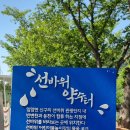 영양.저작나무숲 이미지