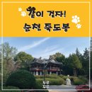 중앙승주약국 | 같이 걷자! 반려동물과 함께하는 '순천 죽도봉' 산책코스 (주변 애견 카페, 약국, 반려동물 교육시설)