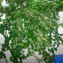 보라여성의원 이미지