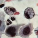 마리안여성의원 이미지