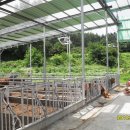 우사농장 이미지