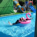 퍼피스테이 온수수영장 애견펜션 이미지