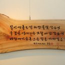 찬솔 이미지