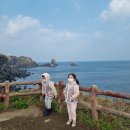 11590-가48-4 | 제주올패스 48시간 아이동반 후기 아쿠아플라넷 송악카트 신화테마파크 일정