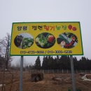 정현목장 이미지