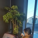 성산힐링펜션&게스트하우스 이미지