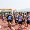 보성공설운동장 이미지