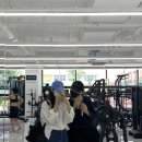 힙업공장 이미지