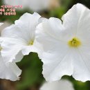반석위의집 이미지