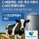 피드앤푸드 이미지