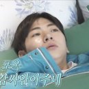 풀로그린 이미지