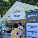 [경산/축제] 신비복숭아 디저트가 있는 2026 경산카페축제 방문 후기