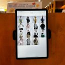 (주)무주덕유산리조트 | [전북 무주] 무주 스키장 후기｜무주 덕유산 리조트 스키장 슬로프·렌탈 솔직 리뷰