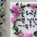 플뢰르 봉봉 이미지