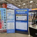 도당애견 | 제주공항 스타벅스 일회용컵 반납 방법 제주항공 애견동반 탑승 후기