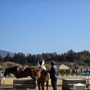 삼남매목장 2 이미지