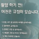 안산 사진관 취업사진 너를담다 스튜디오 후기