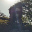 오늘도제주 이미지