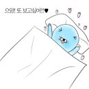 로미디자인