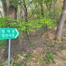 청석당 Daum카페