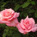 온누리 요양보호사교육원 이미지