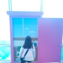 두근두근 도라에몽 IN BUSAN 展 피아크 방문 후기