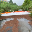 탄동천1 이미지