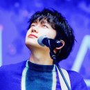 플레로마 이미지