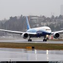 Flight ! Boing787 !!! 이미지