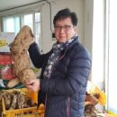 양송이마켓 이미지