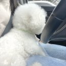 꾸꾸멈머 이미지