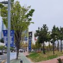 복두꺼비부동산공인중개사사무소 이미지