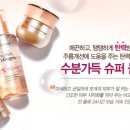 에이치디 하우스