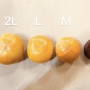 창원제2농장 이미지