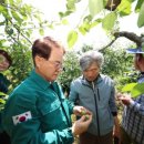 청도군-2 이미지