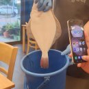 명랑카인테리어 이미지