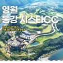 동강시스타 네이버블로그