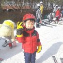 한국체대 양지 태권도 네이버블로그