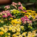 중리보건진료소 이미지