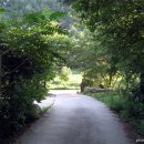 거문골민박 이미지