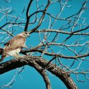 이원웅피티스튜디오 이미지