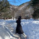 [설악산 여행기] 켄싱턴호텔 설악 성수기 꿀팁, 조식도 먹고 고속버스에서 배 아프면 어떻게 해요?