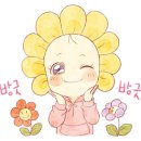 꽃뜨레플라워 이미지