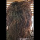 작품하나 미용실 이미지