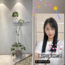 현대카클리닉이도점 | 오목교미용실 토니앤가이 신델레라크리닉 드라마테라피크리닉 후기