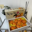 윈썸제이 이미지
