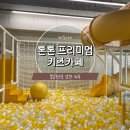 천안 톤톤프리미엄키즈카페, 종일권으로 알찬 시간♥