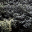 옥룡사지 이미지