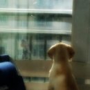 양평가축병원 이미지