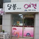 [은평구 애견미용] 달봉이네애견에서 리안이 미용하고 왔어요~